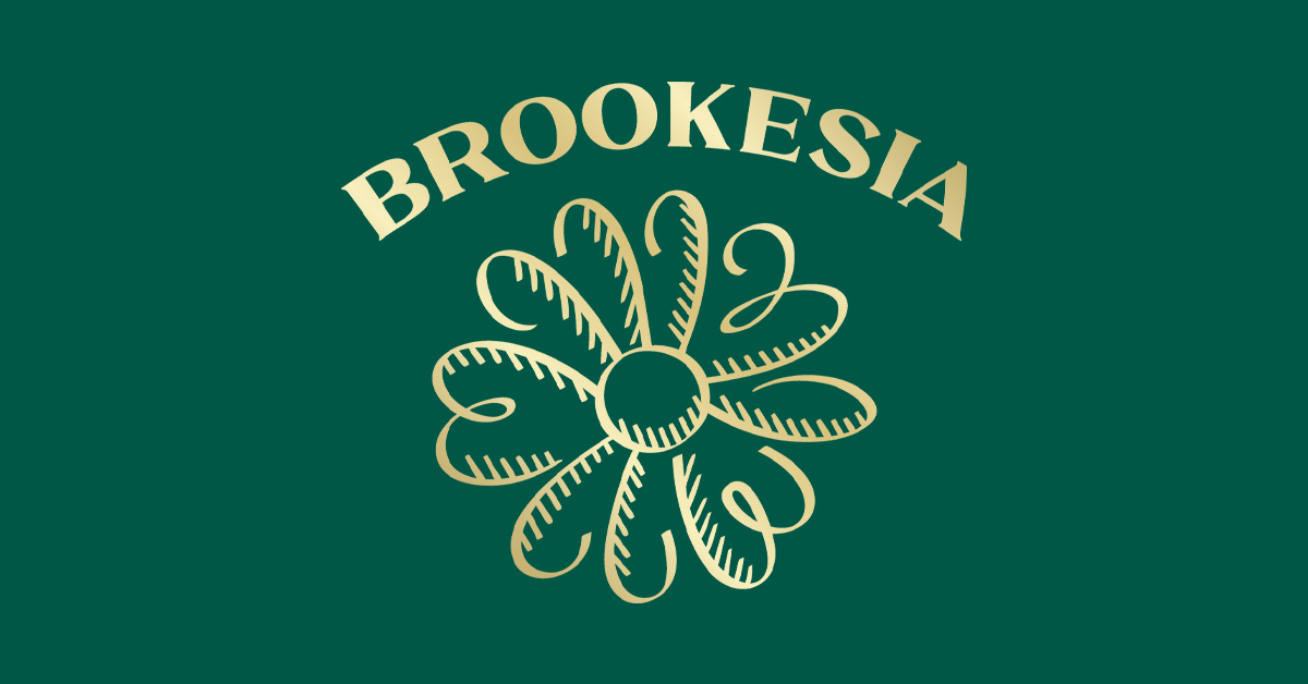 Logo Image